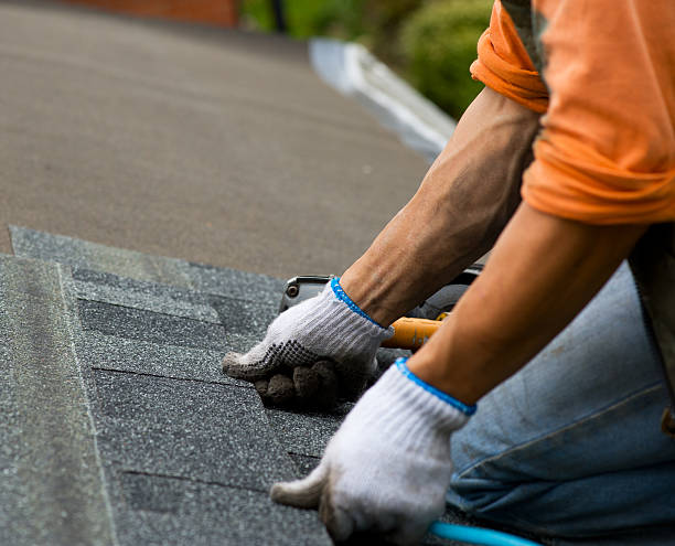 Best Roof Gutter Cleaning  in Huntington Bay, NY
